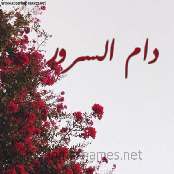 شكل 18 صوره الورد الأحمر للإسم بخط رقعة صورة اسم دام السرور DAM-ALSROR